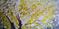Art: Yellow Blossom  by Artist LUIZA VIZOLI