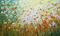 Art: DAISY FIELD by Artist LUIZA VIZOLI