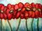 Art: RED POPPIES AFTER THE RAIN by Artist LUIZA VIZOLI