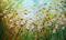 Art: DAISY FIELD Flowers Meadow by Artist LUIZA VIZOLI