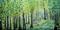 Art: THE GREEN SEASON by Artist LUIZA VIZOLI