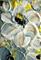 Art: WHITE PETUNIAS ACEO by Artist LUIZA VIZOLI