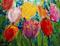 Art: A Glorious Spring Day TULIPS by Artist LUIZA VIZOLI