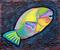 Art: Sea of Portugal Collection Parrotfish by Artist Laura Barbosa