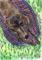 Art: RELAXING GREYHOUND sas by Artist Dawn Barker