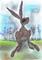 Art: FIELD HARE h2578 by Artist Dawn Barker