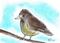 Art: LITTLE BIRD b119 by Artist Dawn Barker