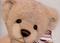 Art: Teddy Bear Mouse Pad by Artist Kimbearly's Originals