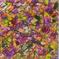 Art: HARMONY (SOLD) by Artist Dawn Hough Sebaugh