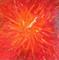 Art: LAVA (SOLD) by Artist Dawn Hough Sebaugh