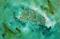 Art: THE QUESTION (SOLD) by Artist Dawn Hough Sebaugh