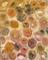 Art: IN THE MOMENT (SOLD) by Artist Dawn Hough Sebaugh