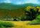 Art: Heat Of The Day (Sold) by Artist Kimberly Vanlandingham