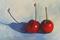 Art: Cherries and Shadows by Artist Torrie Smiley