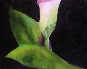 Detail Image for art Pink Calla Lily
