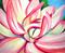 Art: PINK FLOWER by Artist Laurie Justus Pace