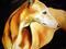 Art: Butterscotch by Artist Laurie Justus Pace