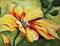 Art: Delightful Yellow Poppy by Artist Laurie Justus Pace