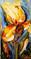 Art: Yellow Iris Abstract by Artist Laurie Justus Pace