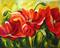 Art: Sacramento Poppies by Artist Laurie Justus Pace