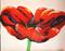 Art: Poppy Abstraction of Color by Artist Laurie Justus Pace