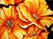 Art: Golden Poppies Impressionism by Artist Laurie Justus Pace