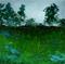 Art: Rainy Morning (Sold) by Artist Kimberly Vanlandingham