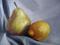 Art: Fruit and Fabric by Artist Kimberly Vanlandingham