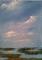 Art: Salt Marsh, Spring 2013 by Artist Kimberly Vanlandingham