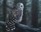 Art: Barred Owl by Artist Kimberly Vanlandingham