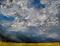 Art: Bright Yellow Field & Thunderstorm by Artist Windi Rosson