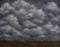 Art: Tennessee Rains by Artist Windi Rosson