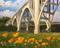 Art: Pasadena Colorado Street Bridge with poppies painting by Artist Karen Winters