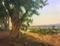Art: Morro Bay Eucalyptus  - California oil painting by Artist Karen Winters