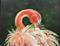 Art: IMG 1448 The Red Flamingo 2016 by Artist Marion Dutton