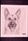 Art: GERMAN SHEPHERD DOG by Artist William Powell Brukner
