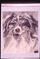 Art: PRETTY DOG by Artist William Powell Brukner