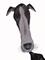 Art: GREYHOUND D101 by Artist Dawn Barker