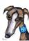 Art: GREYHOUND g271 by Artist Dawn Barker