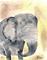 Art: ELEPHANT e101 by Artist Dawn Barker