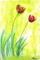 Art: FLOWERS f101 1 by Artist Dawn Barker