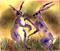Art: BOXING HARES h1550a by Artist Dawn Barker