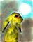 Art: MOONLIGHT h1546a by Artist Dawn Barker