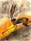 Art: RUNNING HARE h1633a by Artist Dawn Barker
