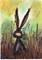 Art: HARE IN THE GRASS h2523 by Artist Dawn Barker
