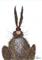 Art: BIG HARE h2525 by Artist Dawn Barker