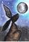 Art: MOONGAZING HARE h2566 by Artist Dawn Barker