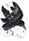 Art: CROW b123 by Artist Dawn Barker