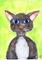 Art: NAUGHTY CAT! c210 by Artist Dawn Barker