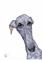 Art: GREYHOUND g292 by Artist Dawn Barker